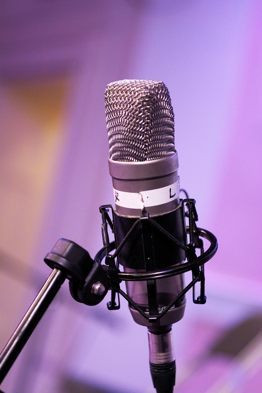 mic, podcast, microphone-3774927.jpg